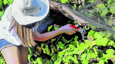 'Lo que vimos recorriendo las fincas de la provincia