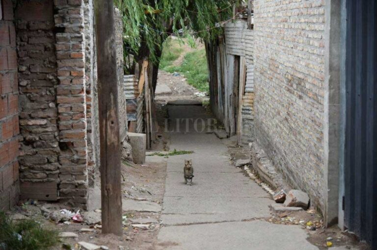 La zona donde se produjo el hecho  Marcelo Manera