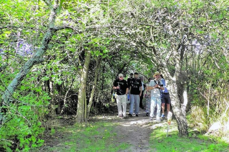 Una de las actividades del Encuentro es 'a campo'