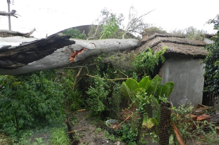 El enorme árbol se desplomó sobre la vivienda de esta familia sanjavierina que