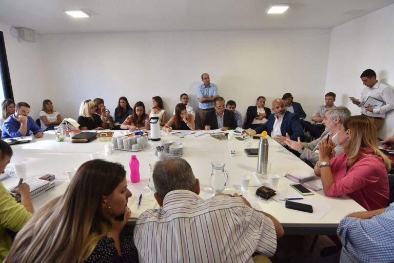 Los diputados manifestaron su preocupación por la suerte de la empresa Vicentin y el montón de otras empresas y empleos relacionados. Pablo Aguirre.