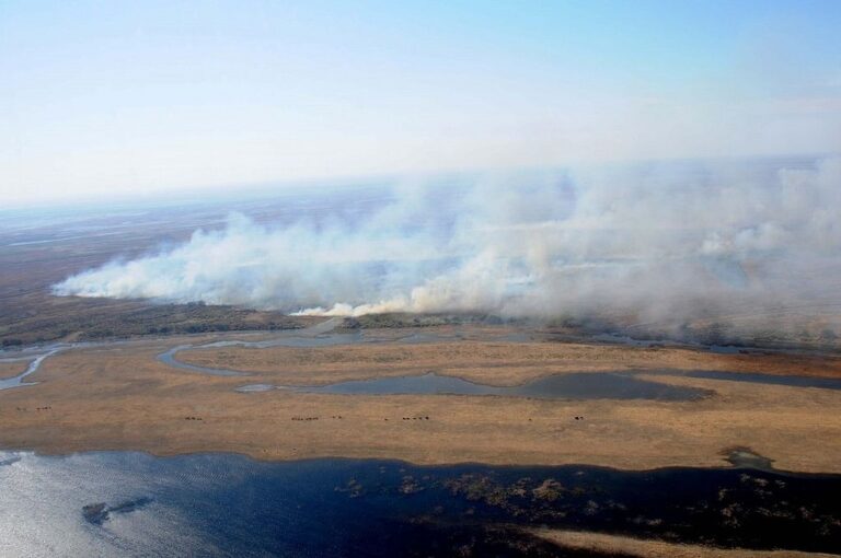 Todo un problema. La quema de pastizales en la vasta extensión de islas frente a Rosario es recurrente. La gestión Javkin quiere avanzar en varios frentnes para resolver esta situación. Subsecretaría de Comunicación Social de Rosario - Silvio Moriconi