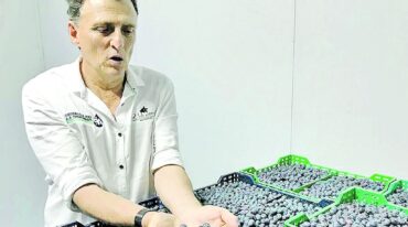 "Necesitamos las condiciones para recuperar competitividad"