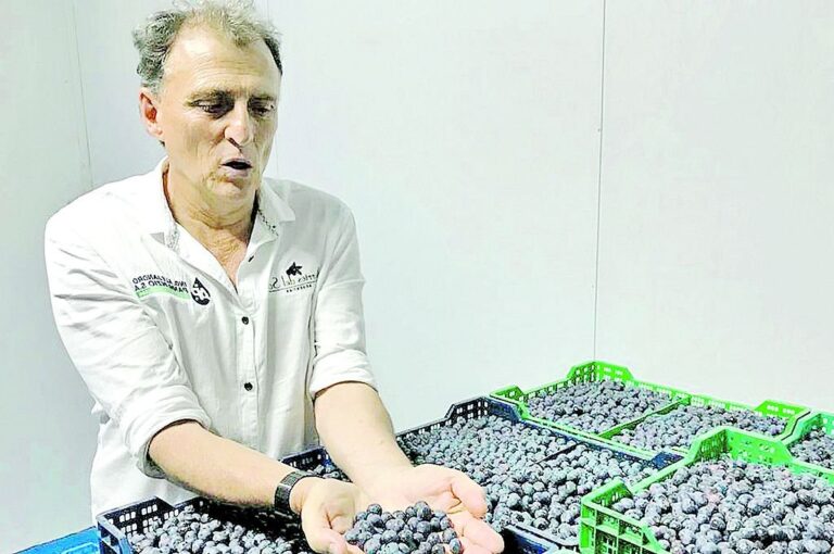 "Necesitamos las condiciones para recuperar competitividad"