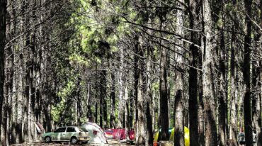 Dormir en pleno contacto con la naturaleza es posible en el camping del balneario Ñandubaysal. Gentileza Municipalidad Pueblo Belgrano