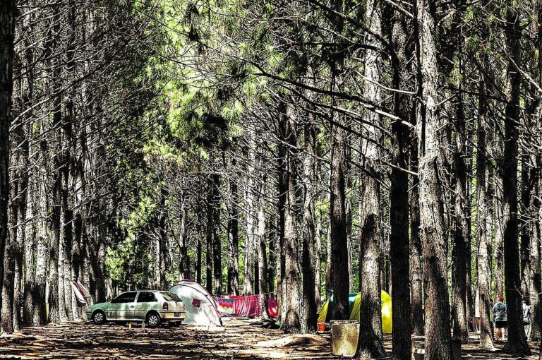 Dormir en pleno contacto con la naturaleza es posible en el camping del balneario Ñandubaysal. Gentileza Municipalidad Pueblo Belgrano
