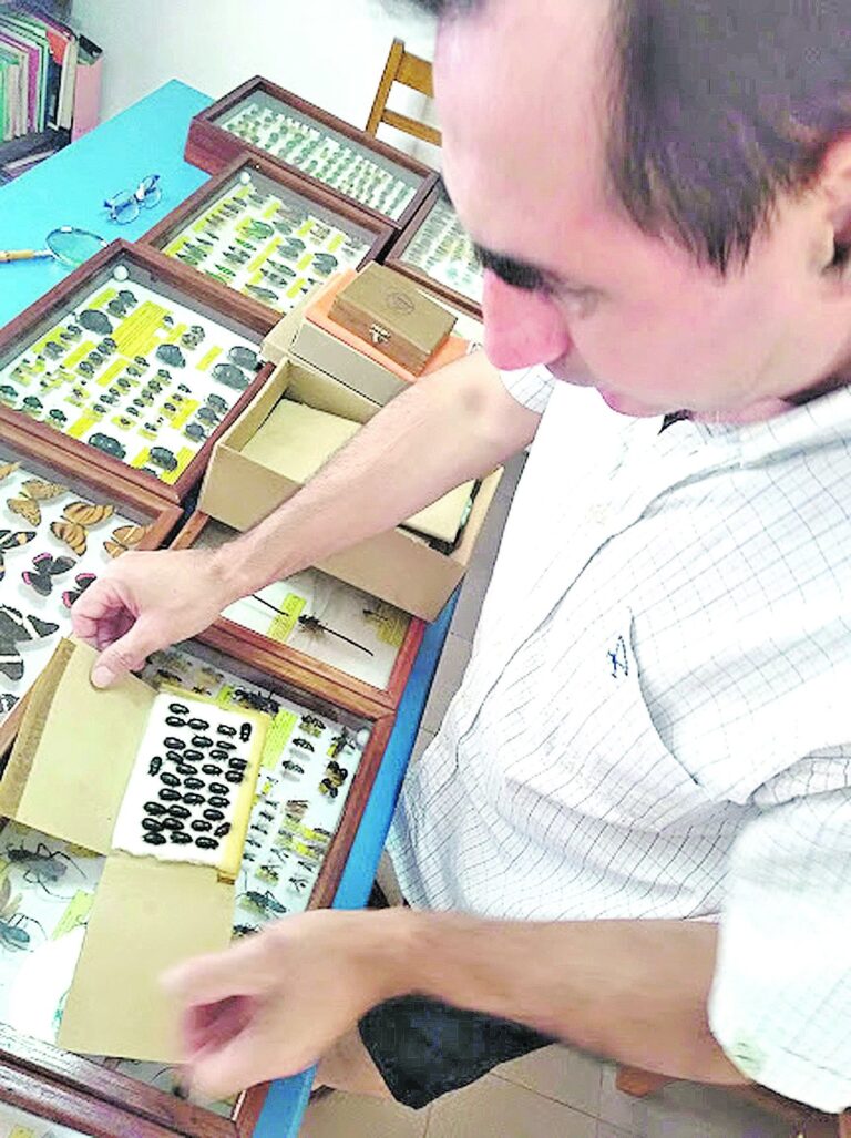 "Los insectos han hecho enormes aportes a la ciencia