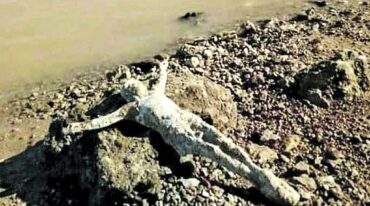 El empleado municipal lo reubicó cerca de una tumba donde había una cruz para el recuerdo de alguien que se ahogó en este tramo del Paraná. "La voluntad de quien lo halló fue depositarlo en una tumba