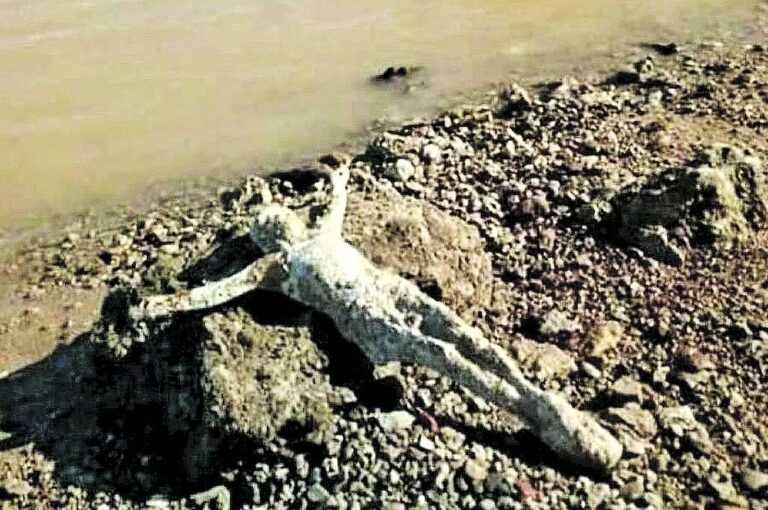 El empleado municipal lo reubicó cerca de una tumba donde había una cruz para el recuerdo de alguien que se ahogó en este tramo del Paraná. "La voluntad de quien lo halló fue depositarlo en una tumba