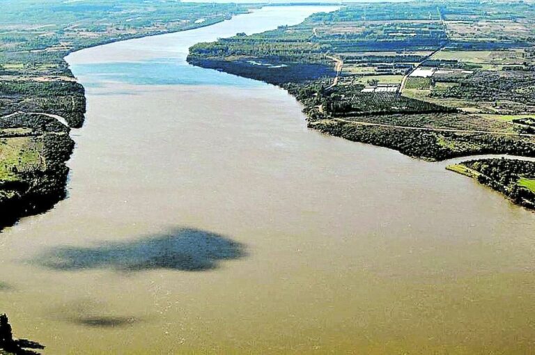 "Aquí estamos en el bajo y con las lluvias que tuvimos vimos un repunte
