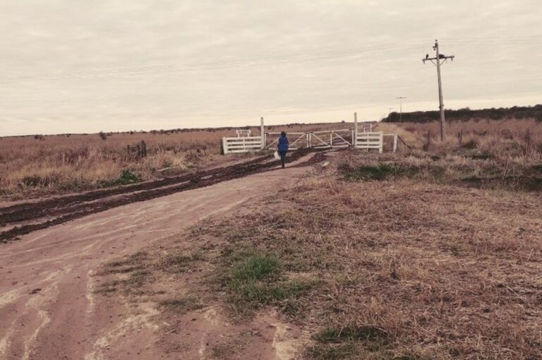 Una "seño" viaja hasta 12 km. para dejar