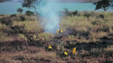 "Hay suelos que tienen entre 30 y 40 cm de materiales de composición y esos son muchos de los suelos que están frente a Rosario"