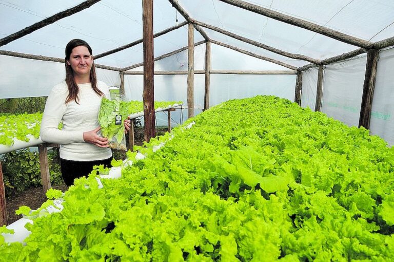 Marcela Gross fue la encargada de llevar adelante este emprendimiento único en la región.  José Prinsich