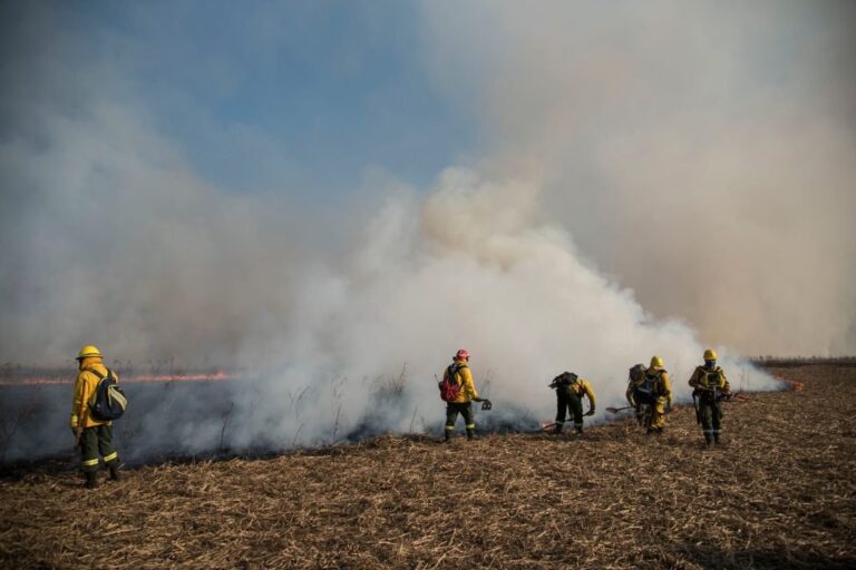 Frente a Rosario: por largos días