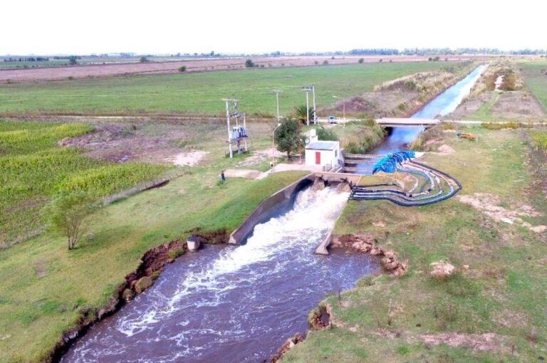 El funcionamiento de esta estructura cuesta $ 600 mil pesos mensuales
