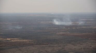 Daños. Los incendios originados en el delta del Paraná han provocado un cuadro perjudicial para el medioambiente. Marcelo Manera.