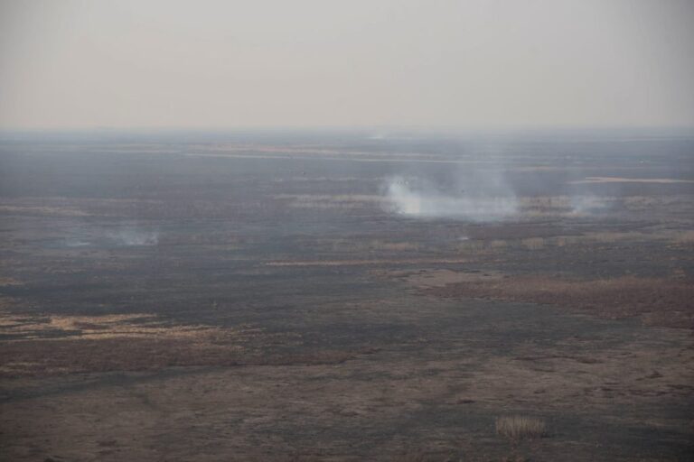 Daños. Los incendios originados en el delta del Paraná han provocado un cuadro perjudicial para el medioambiente. Marcelo Manera.