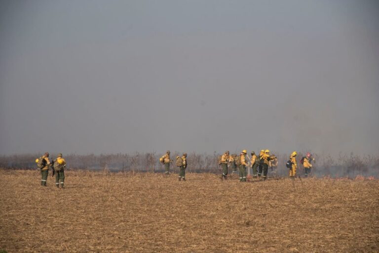 "El humedal nos aporta una cantidad de biodiversidad increíble en aves