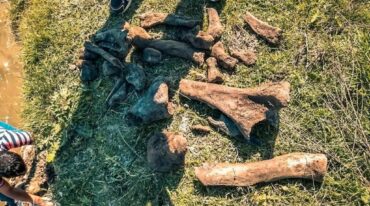 El contexto de sequía posibilitó el trabajo del equipo de Patrimonio Santafesino para realizar un estudio más detallado. Gentileza: prensa Comuna de Teodelina.