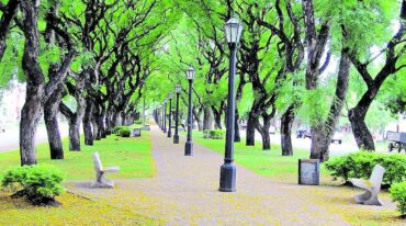 Los bulevares de Villa Elisa un gran "pulmón verde" para la localidad y un atractivo para sus habitantes y turistas. Gentileza Turismo Villa Elisa