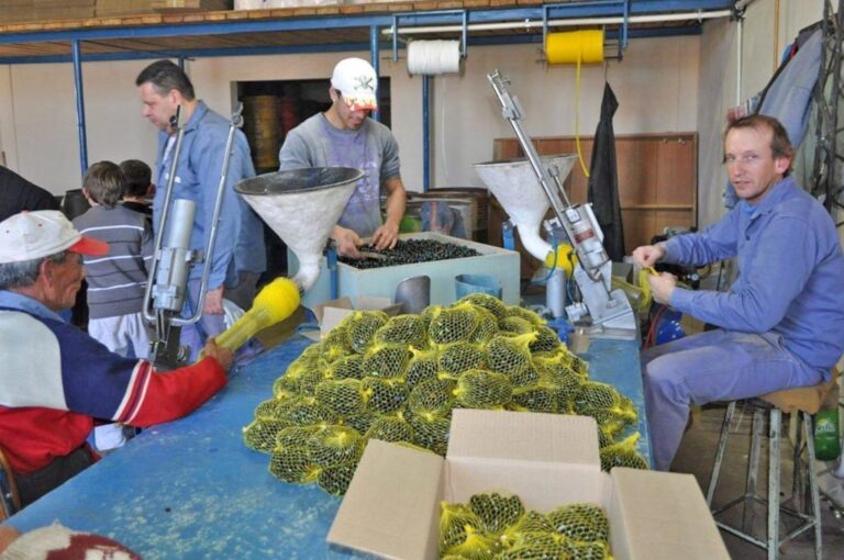 La fábrica de San Jorge