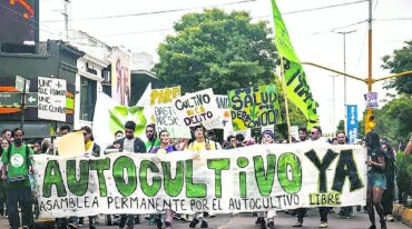 Productores y usuarios de cannabis vienen haciendo escuchar su voz en las calles