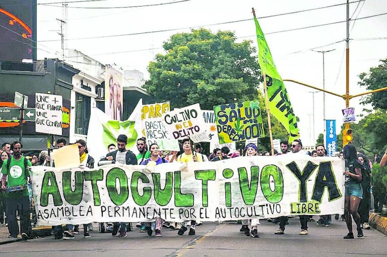 Productores y usuarios de cannabis vienen haciendo escuchar su voz en las calles