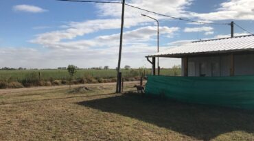 La resolución se dio tras un amparo que se había presentado a fines de noviembre de 2018