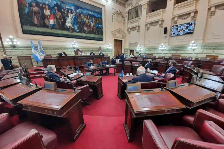 Gentileza Cámara de Senadores
