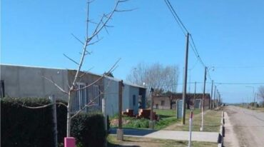 La nueva cortina forestal que tendrá San Carlos Norte incorpora cerca de un 1 kilómetro