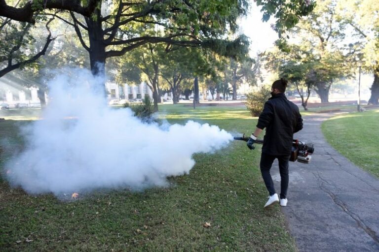 En Rosario temen por otra epidemia del dengue ante la llegada de los meses de calor. Archivo.