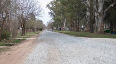 En busca del verde. Ante la imposibilidad de viajar como cada temporada veraniega