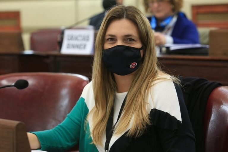 La diputada Silvana Di Stefano. Archivo.