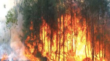 La problemática de los incendios forestales es una problemática difícil de erradicar en este 2020.
