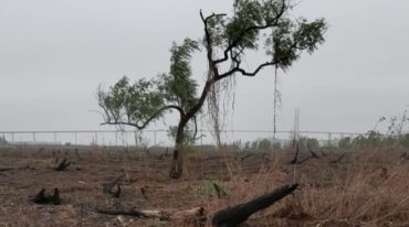 Gentileza: Observatorio Ambiental de la UNR.