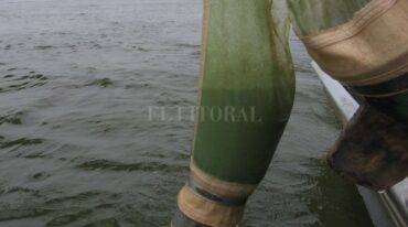 Las condiciones climáticas actuales e hidrométricas representan un conjunto de factores que favorecen su rápida proliferación.