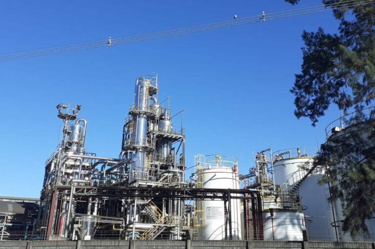 Un año convulsionado. La cerealera con base en Avellaneda