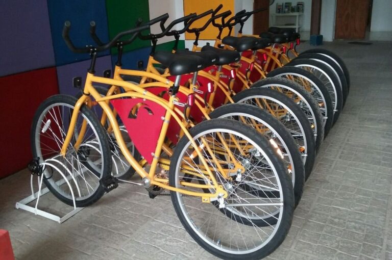 En Chajarí apuestan a la bicicleta para la movilidad urbana.