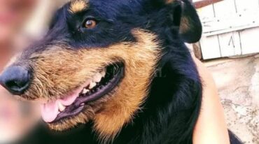 Kimey murió por los golpes que recibió en el cráneo. Gentileza