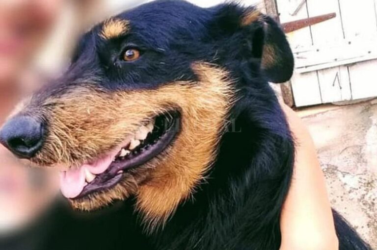 Kimey murió por los golpes que recibió en el cráneo. Gentileza