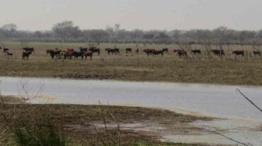 Gentileza El Paraná No Se Toca