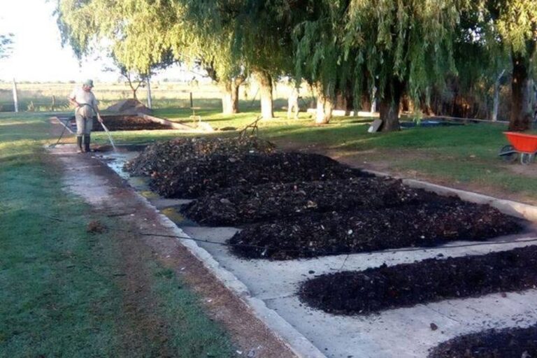En este sentido el Jefe Comunal sostuvo que el proyecto será optativo para cada familia. "Será un plan de trabajo que iniciamos el año próximo y que traerá importantes beneficios ambientales". Archivo.