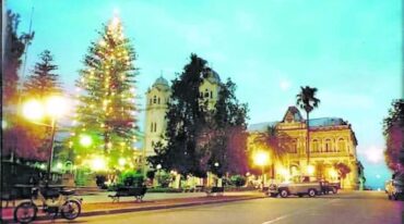 El histórico pino navideño ubicado en el corazón de la plaza San Martín