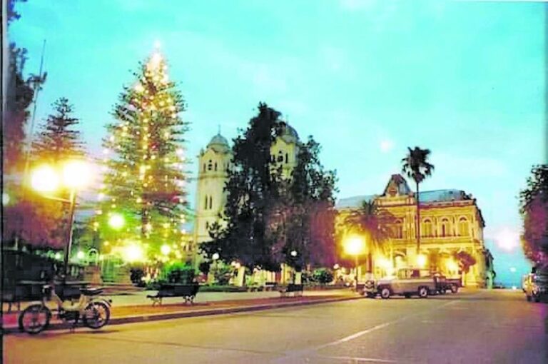 El histórico pino navideño ubicado en el corazón de la plaza San Martín