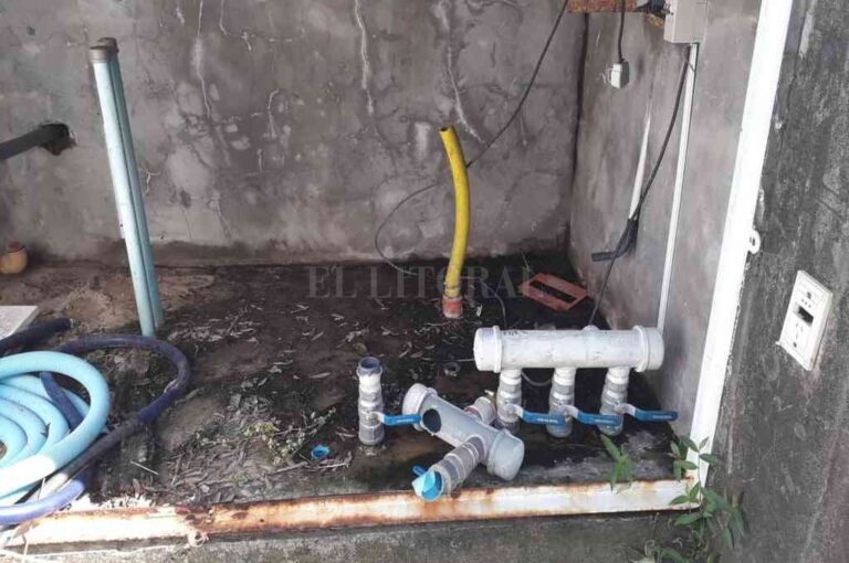 Como una verdadera "peste" el mal se extiende y azota viviendas en Sauce Viejo