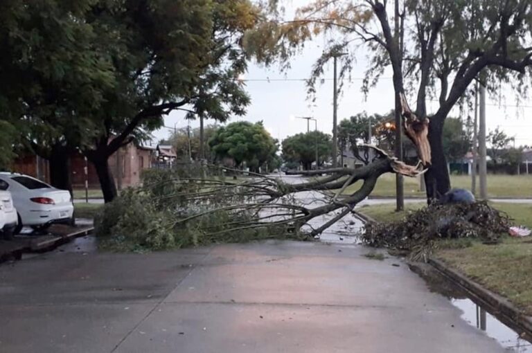 Daños: cables de teléfono