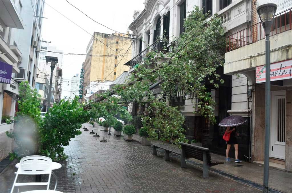 En la peatonal San Martín Norte
