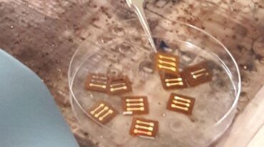 Los biosensores están en pleno estudio. Tras la prueba en las personas