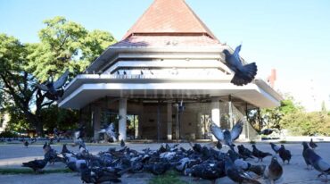 Emblema. El paseo ubicado en la plaza Colón es restaurado para el cuidado de las palomas. Manuel Alberto Fabatía