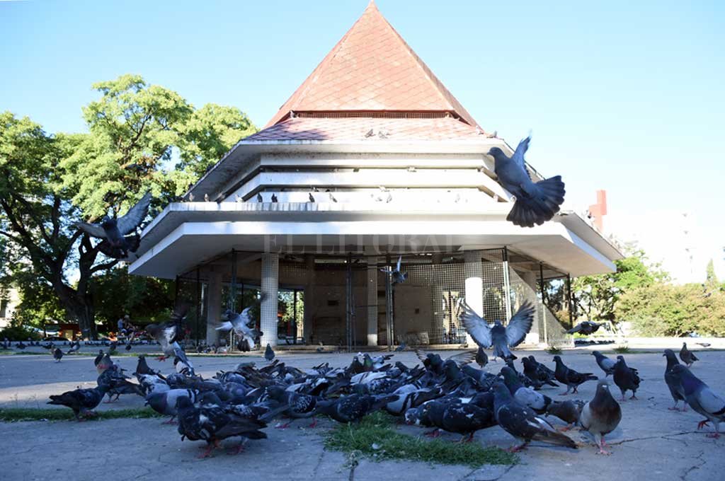 Emblema. El paseo ubicado en la plaza Colón es restaurado para el cuidado de las palomas. Manuel Alberto Fabatía